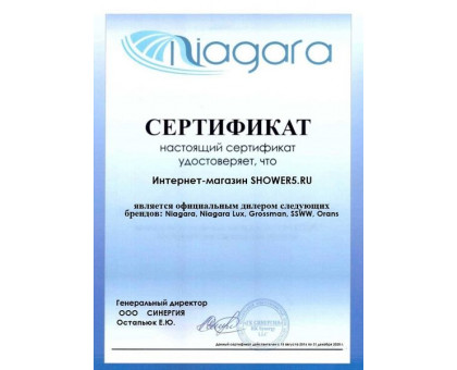 Душевая кабина с гидромассажем SSWW W1019R 90х90 см